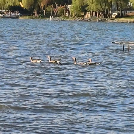 Gosciniec Twoje Mazury Nad Jeziorem Sniardwy Tuz Obok Plazy Новые Гуты Экстерьер фото